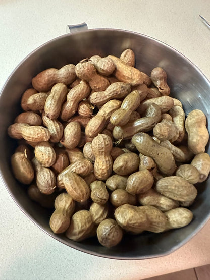 Boil-The-Bag Boiled Peanuts (12 Bags)