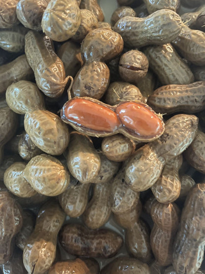 Boil-The-Bag Boiled Peanuts - (6 Bags)